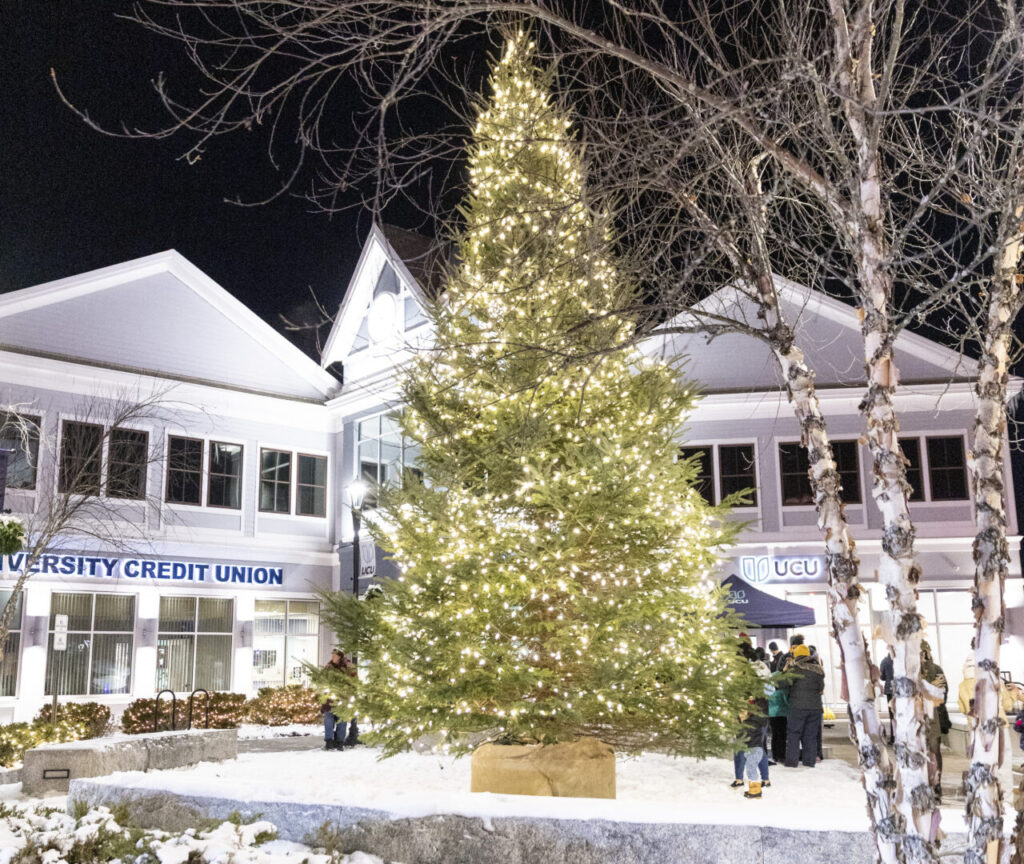 Orono Winter Tree